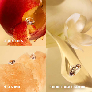 Million Gold for Her Pure Diamonds - Eau de Parfum Million Gold for Her Pure Diamonds - Eau de Parfum